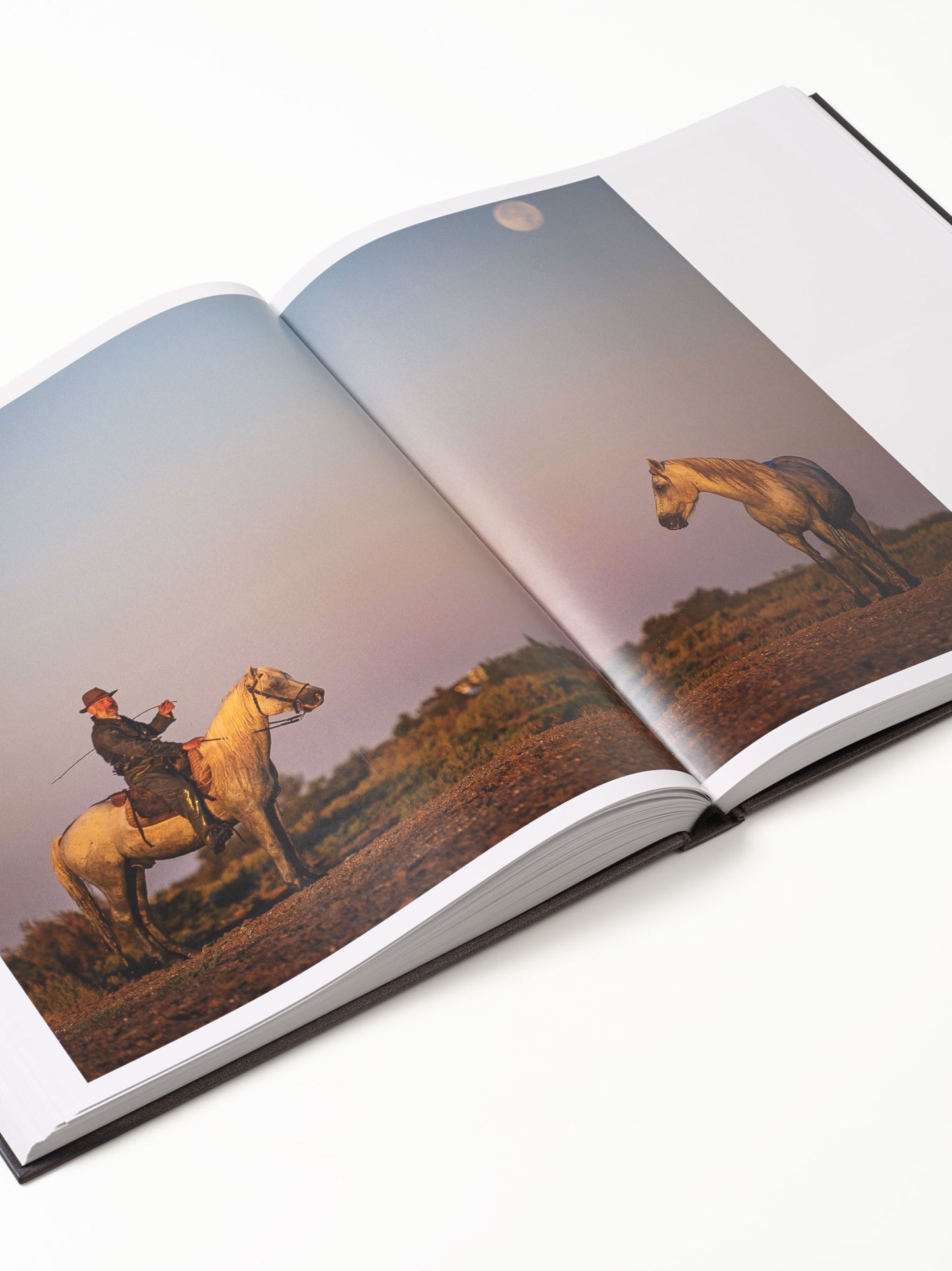 BOOK NICOLAS BIALYLEW